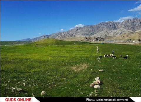 طبیعتی بکر و زیبا در استان خوزستان