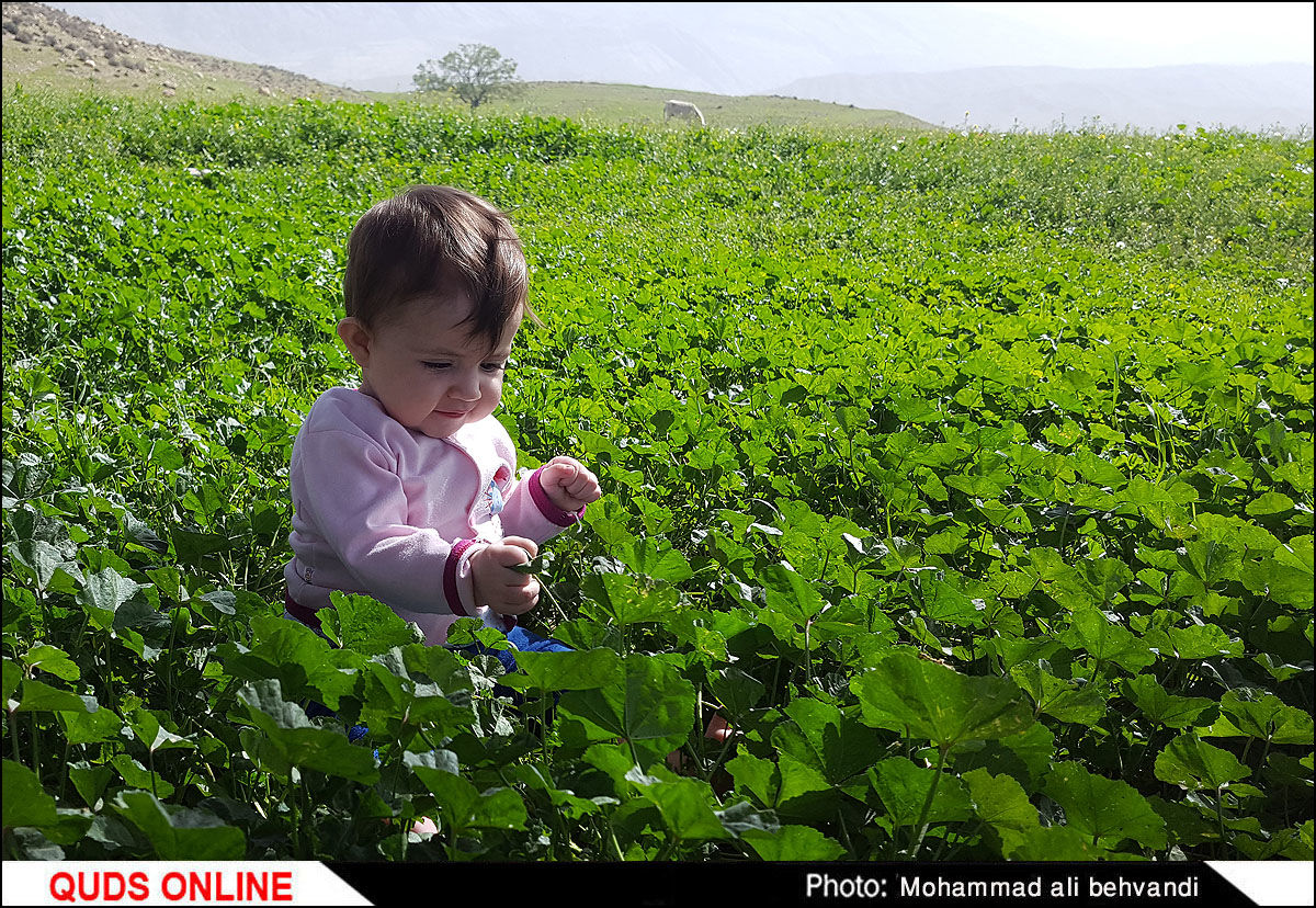 طبیعتی بکر و زیبا در استان خوزستان