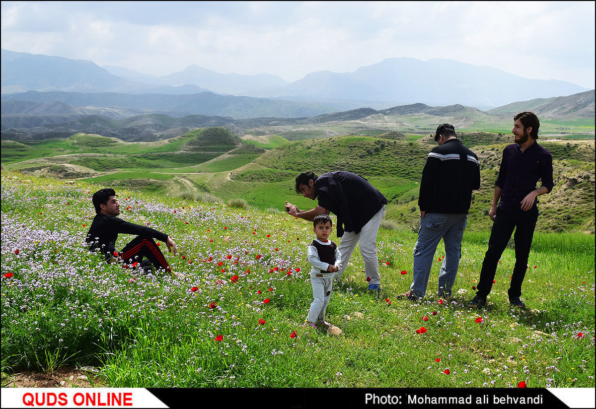 طبیعتی بکر و زیبا در استان خوزستان