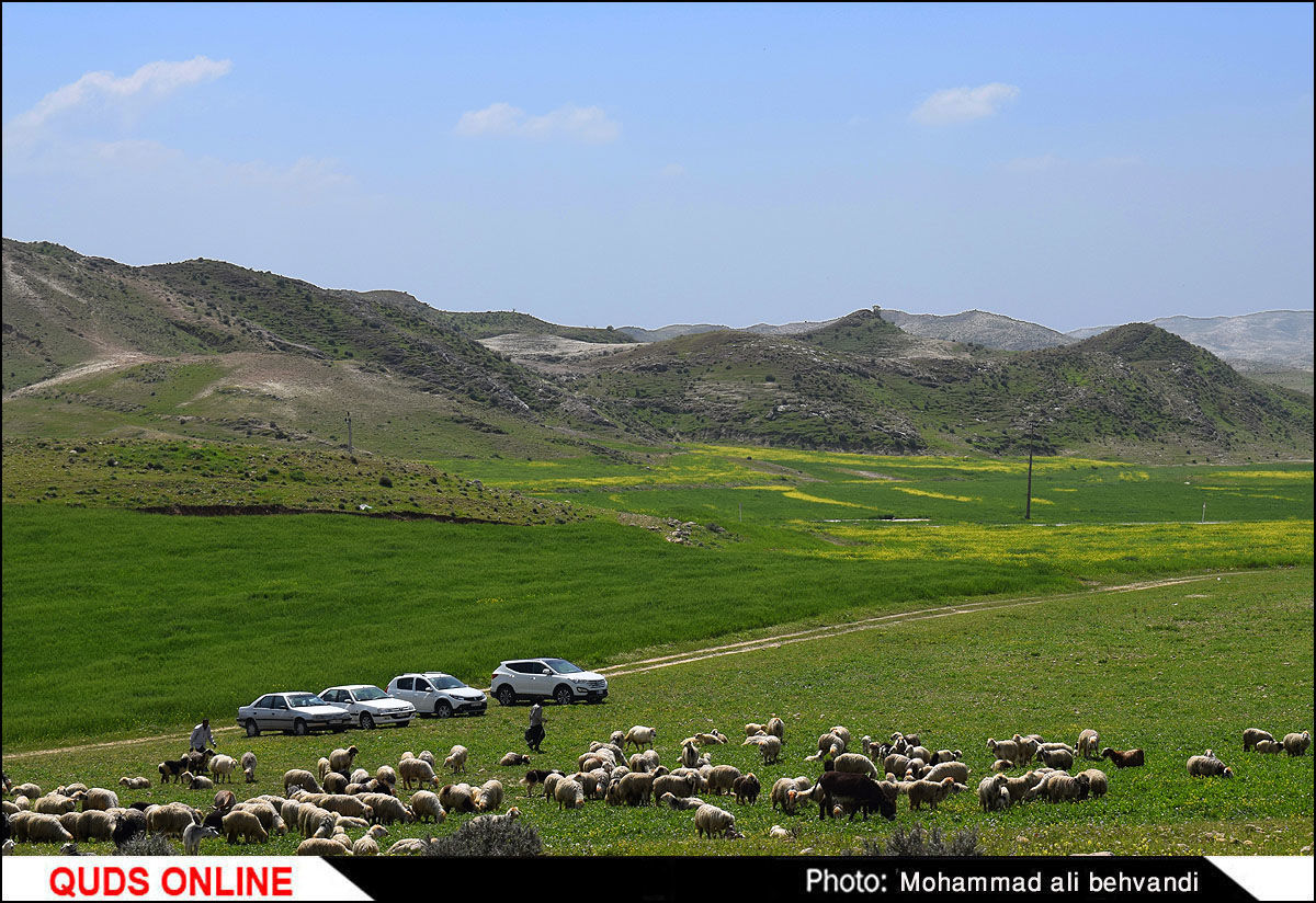 طبیعتی بکر و زیبا در استان خوزستان