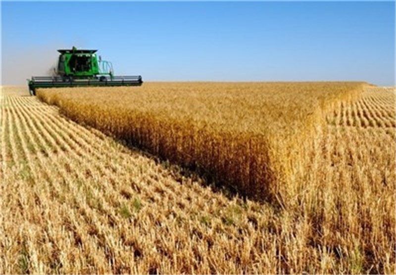 عمر 13 هزار از ماشین آلات بخش کشاورزی بالای 30 سال است