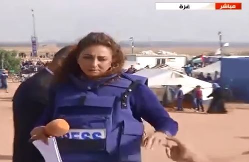 فیلم -  بیهوش شدن خبرنگار المیادین با گاز اشک آور صهیونیست ها
