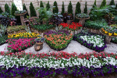افتتاح نمایشگاه گل و گیاهان زینتی در ساوه 
