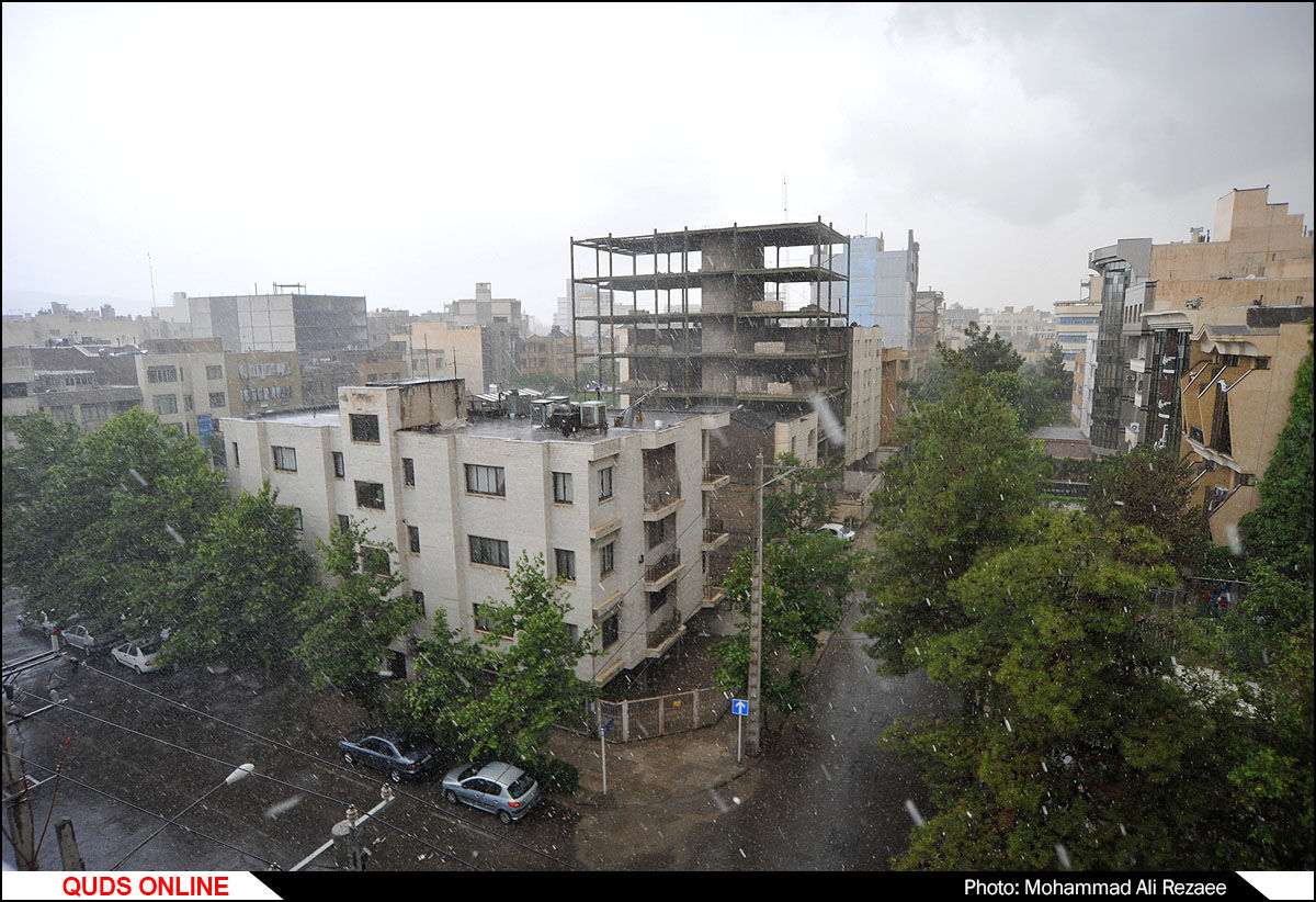بارش رگباری باران/عکس خبری