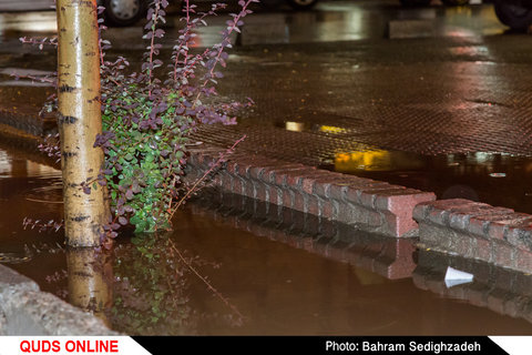 بارندگی در شهر مشهد 