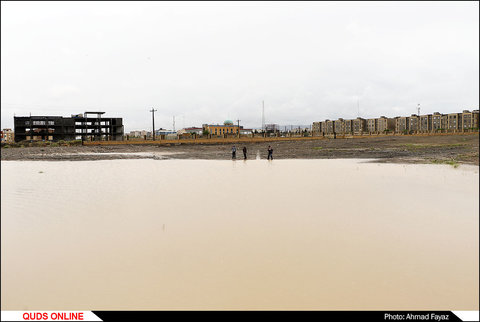 ونیزی به نام الهیه مشهد- گزارش تصویری