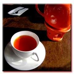 صدور چای ایرانی ارگانیک به بازارهای جهانی