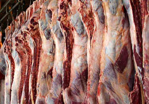 توزیع گوشت قرمز با قیمت مصوب در خراسان رضوی آغاز شد
