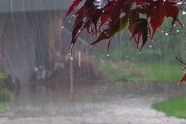 کاهش ۲۸ درصدی بارندگی در استان خراسان رضوی