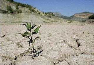 پیش بینی کمبود ۱۷ درصدی آب در مشهد
