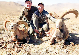 شلیک به قلب طبیعت کوهستان ترشیز/ تفریح شکارچیان کاشمری با کشتن حیوانات درمعرض انقراض