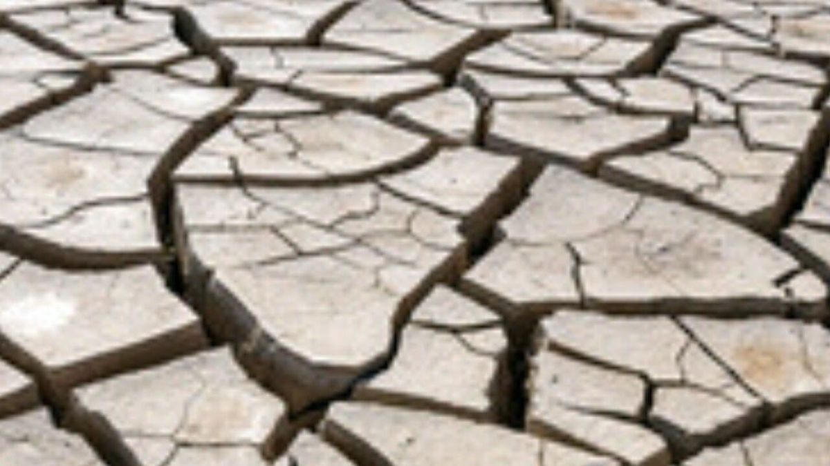 شهرستان کاشمر همچنان در خشکسالی به سر می‌برد