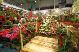  نمایشگاه گل و گیاه همزمان با نمایشگاه سوغات و هدایا در قزوین دایر می شود