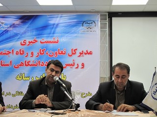  طرح ایجاد مشاغل خانگی در استان چهارمحال و بختیاری اجرا می شود