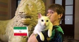 گربه پیشگوی جام جهانی پیش‌بینی کرد؛ ایران برنده بازی امشب