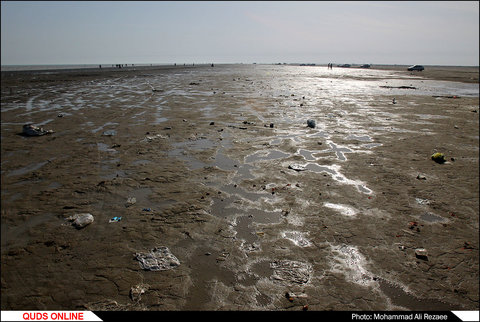 امواج زباله بر ساحل دیلم
