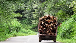 ضعف مدیریت عمده‌ترین عامل تهدید کننده جنگل‌های کشور