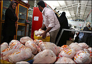 عراق تعرفه مرغ ایرانی را افزایش داد
