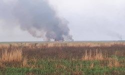 دود حاصل از آتش سوزی هورالعظیم ۳ شهرستان خوزستان را به تعطیلی کشاند