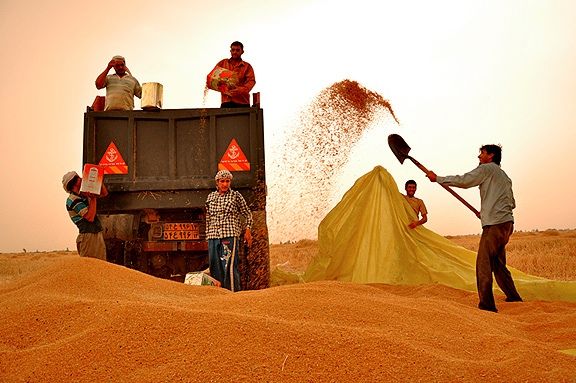 اختصاص  ۱۲۴ میلیارد تومان برای استمهال تسهیلات کشاورزان خراسان رضوی