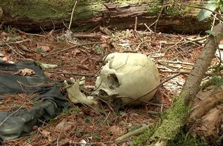 فیلم | قدم زدن در ترسناک‌ترین جنگل دنیا با جنازه‌های حلق‌آویز