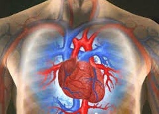 در بحث پیشگیری بیماری های قلبی، برنامه جامعی نداریم