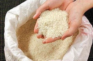 خرید توافقی برنج شالیکاران گیلان از فردا آغاز می‌شود