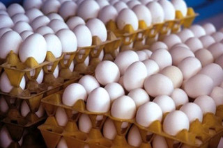 قیمت تخم مرغ در بازار کاهش یافت