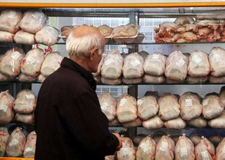 قیمت گوشت مرغ تا پایان هفته متعادل می شود