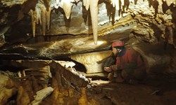 کشف بقایای دایناسورها در غارهای ازبکستان