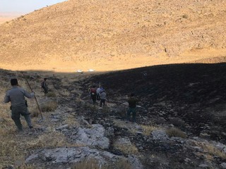 ۳۰۰۰ مترمربع از مراتع پارک ملی تندوره درگز در آتش سوخت
