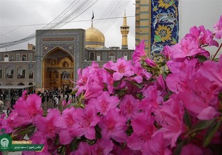 ۴۳ هزار زائر در قالب طرح "مهر درخشان" به مشهد مشرف شدند