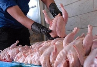 تداوم روند کاهشی قیمت مرغ در بازار