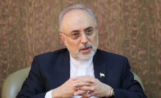 سیگنال مثبت توافق ایران و عربستان به احیای برجام/ صالحی: بدون واسطه هم می شد توافق کرد