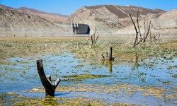 کاهش۲۵ درصدی ذخایر سدهای استان تهران نسبت به سال گذشته 