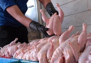 قیمت گوشت مرغ در بازار امروز  ۹۷/۰۷/۰۱