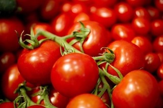 کاهش ۱۵۰۰ تومانی قیمت گوجه فرنگی در بازار