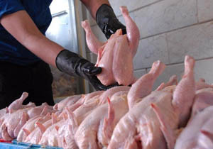 کاهش ۵۰۰ تومانی نرخ مرغ در بازار