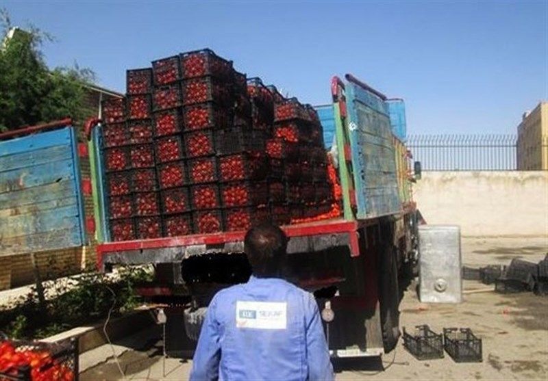 واردات گوجه فرنگی از چین به ایران