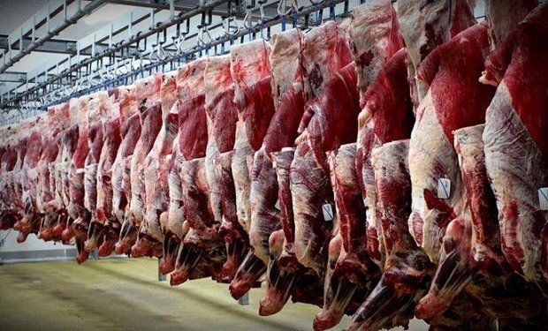توقف محموله گوشت وارداتی تکذیب شد