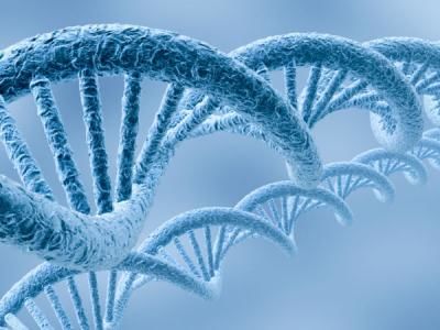 بیماری‌های ژنتیکی شایع در خراسان رضوی کدامند