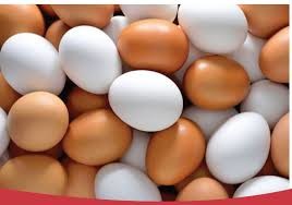تولید ۱۸ هزار تن تخم‌مرغ محلی در گیلان