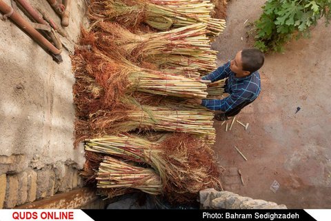 محله ای بنام گلشهر در مشهد 