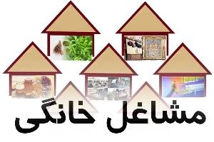 کاهش ۴.۸ درصدی بیکاری روستایی با اجرای الگوی نوین توسعه مشاغل خانگی