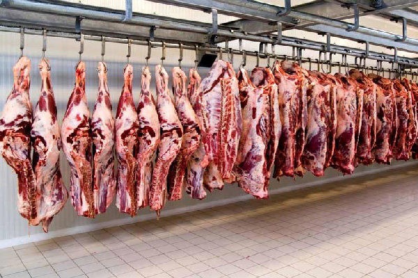 قیمت گوشت گوسفندی ۳ هزار تومان کاهش یافت