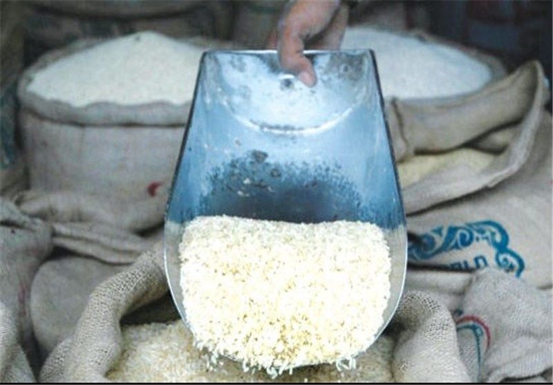 جولان دلالان در بازار برنج/تخریب محصول شایعه است