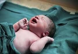 تولد ۳۶۷ نوزاد در سال جاری در بیمارستان بنت‌الهدی بجنورد