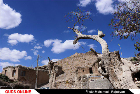 روستای تاریخی هریوند