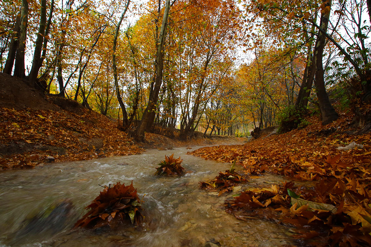 گزارش تصویری/طبیعت پاییزی روستای "مهنان" در خراسان شمالی