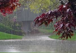 بارش سنگین باران در هشت بندی هرمزگان